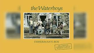 The Waterboys - Saints and Angels