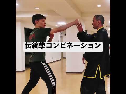 伝統拳コンビネーション #カンフー #コンビネーション #接近戦 #生駒 #奈良先端科学技術大学院大学#武術 #kungfu #nara #cqc  #ikoma #naist
