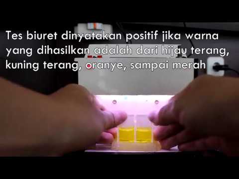 【CE 631 Embedded System Design】 UrineAnalyzer - OkeSip (Semester Genap 2017-2018)