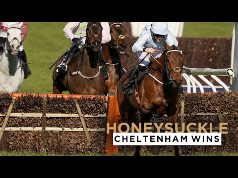 HONEYSUCKLE'S 3 CHELTENHAM FESTIVAL WINS