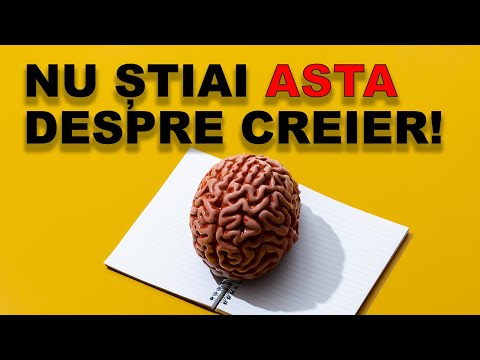 11 lucruri fascinante despre creier