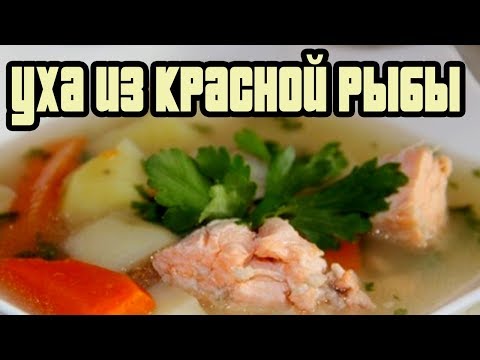 УХА ИЗ КРАСНОЙ РЫБЫ.Как приготовить уху.