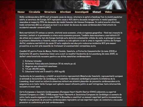 Atestat informatica - Inima