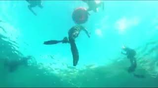 The Freediver&#39;s caught on camera with mermaid