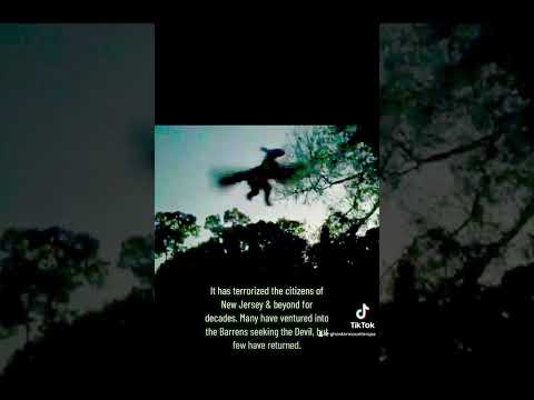 Haunted Forests: The Pine Barrens of New Jersey & The Jersey Devil