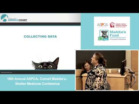 Cash and Counting: The Importance of Data in Grantmaking - conference recording