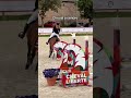 Cheval de sport pour 125/130