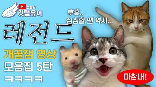 유튜브 썸네일