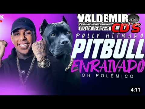 Pitbull enraivado