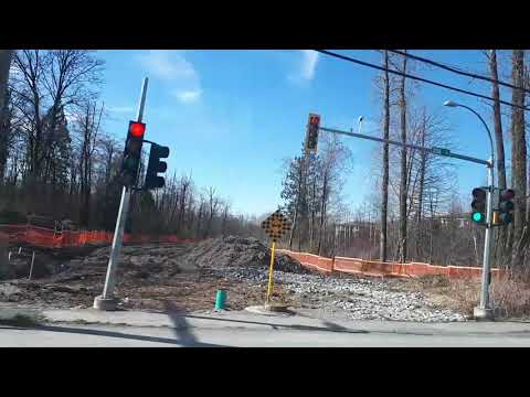 Translink: Route 595