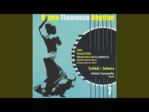 Jaleos Sin Taconeo Flamenco