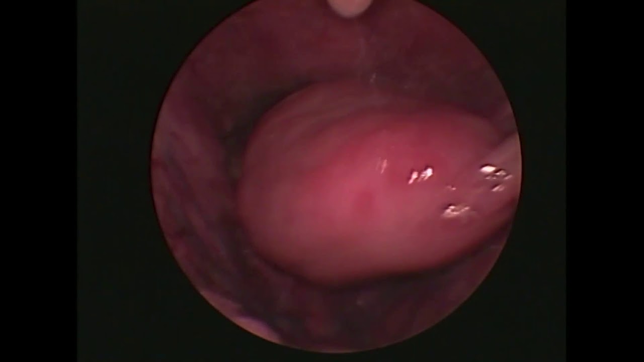 Rogelio Chavolla González-9