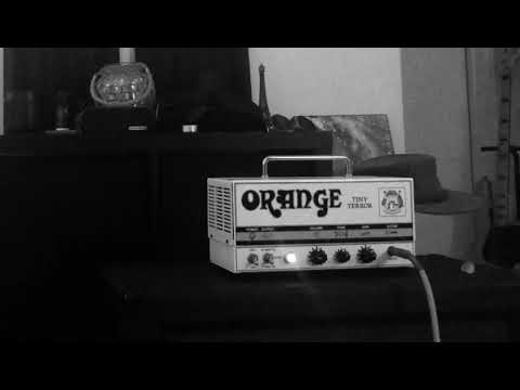 Orange Tiny Terror with 2x12 cab