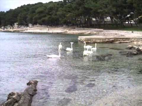 KLAPA ŠIBENIK - KAD SI BILA MALA MARE