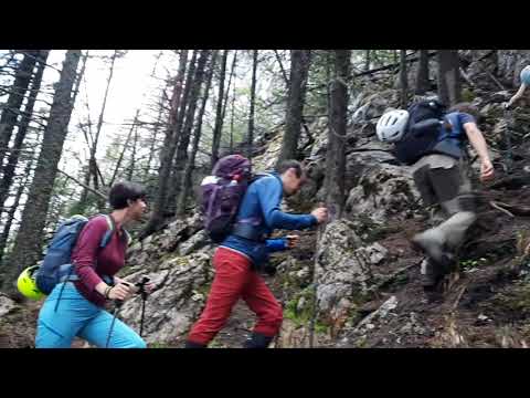 Cab. PLAIUL FOII 850 m - valea PODURILOR - poiana COTOFENEI 1232 m - amfit. COLTILOR GEMENI 1850 m