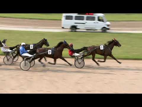 2021.06.12. 08. futam - PLATINA LADY HENDIKEP