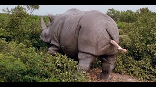 Download lagu THE BEST OF Ace Ventura: When Nature Calls mp3 Download lagu THE BEST OF Ace Ventura: When Nature Calls mp3