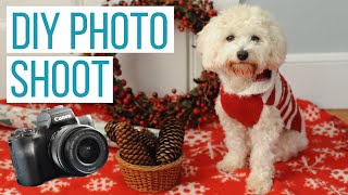 CHRISTMAS DOG PHOTO SHOOT AT HOME! | Rosco’s Maltipoo Christmas