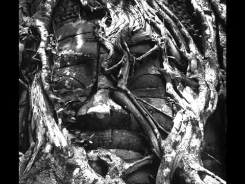 Jaromír Nohavica/2. Darmoděj/Werner Bischof