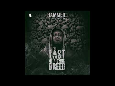 Hammer of The Last Two- Repercussions (feat. Kwaw Kese & Worlasi) (Artwork Audio)
