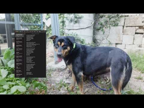 Aden Foyer - Mira (Official Video)