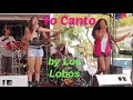 Yo Canto by Los Lobos live performance in San Antonio, Texas