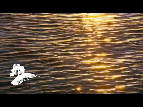 Best of Green Hill Music - The Jazz Collection [Visualizer]