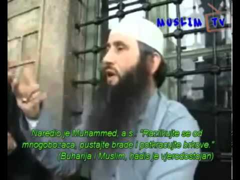 Hfz  Sh  Jusuf Barčić   Zašto brada