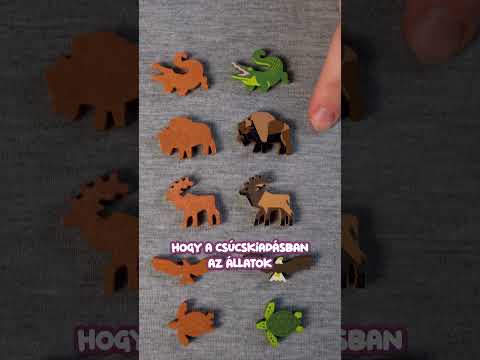 PARKS társasjáték – sima vs Csúcs kiadás | melyiket válaszd? #parks #társasjáték #reflexshop - reflexshop