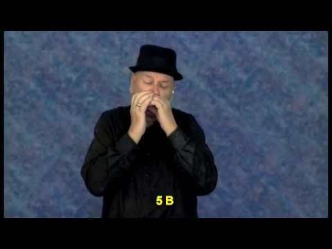 Play Blues Harmonica in 5 minutes - Session 1