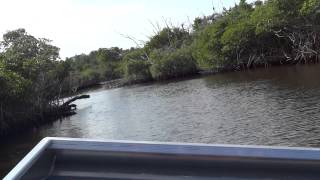 Airboat in the Everglades