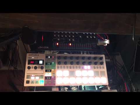 Behringer Model D (Analog VS Digital)