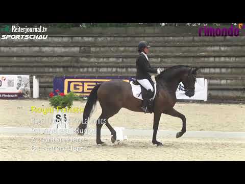 Reiterjournal SPORTSCHAU: Alle qualifizierten Württemberger für die Bundeschampionate 2017