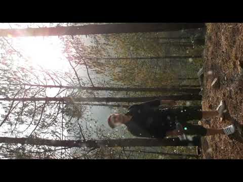 kuldeep Night chang...