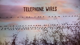 Telephone Wires Music Video