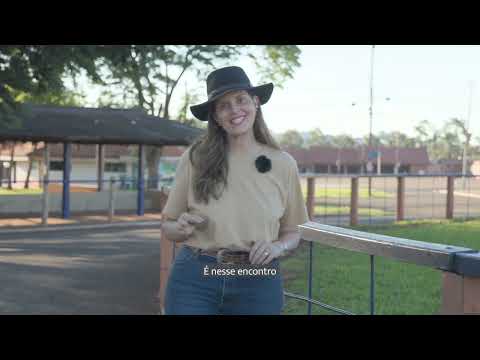 Como o cavalo pode contribuir no desenvolvimento pessoal e na liderança?