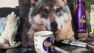 Dětská peněženka s 3D efektem - Selfie bláznivých psů