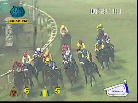 The Tattersalls Million  Winner - HIDDEN GOLD