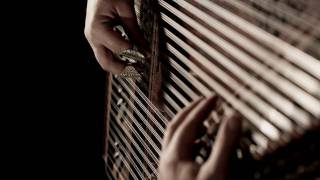 FRAGILE dedicated to Sting by Farhad Besharati