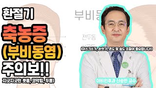 부비동염(축농증)