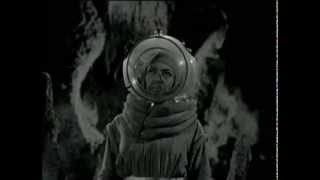 Dear Reader - Never Goes