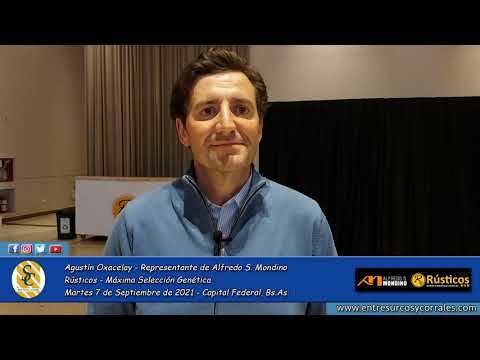 07-09-21 - Agustín Oxacelay - Rep. de Alfredo S.  Mondino -  Rústicos - Máxima Selección Genética