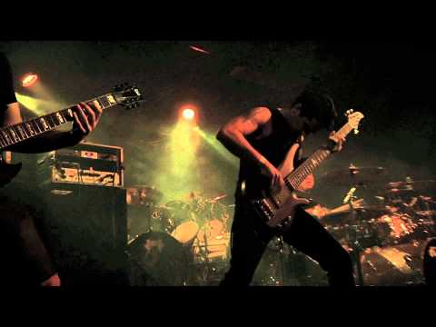Darkness Before Dawn - Kings To You (live)