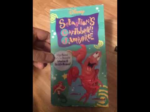 My 1984 Red FBI Warning Screens Rare Times New Roman Vhs Collection