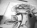 Speed drawing of a Rose 