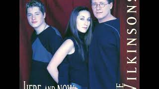 14 ◦ The Wilkinsons - Hypothetically (Demo Length Version)