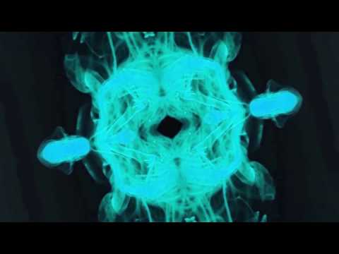 High Therapy - There's No Bliss (Lyric Video)