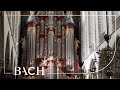 Bach - Kommst du nun, Jesu, vom Himmel herunter BWV 650 - Jacobs | Netherlands Bach Society - Netherlands Bach Society Bach - Kommst du nun, Jesu, vom Himmel herunter BWV 650 - Jacobs | Netherlands Bach Society