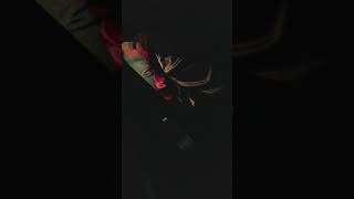 When your designated driver gets drunk af