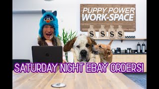 Doing A Little Saturday Night EBAY Order Shipping! What SOLD and Sleeping Puppies! Puppy Power!